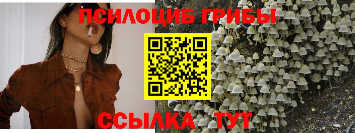 Волгодонск  Галлюциногенные грибы ЛСД  что такое   Вход с VPN 