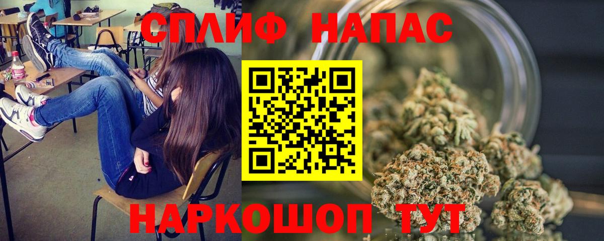 Шишки марихуана план Волгодонск